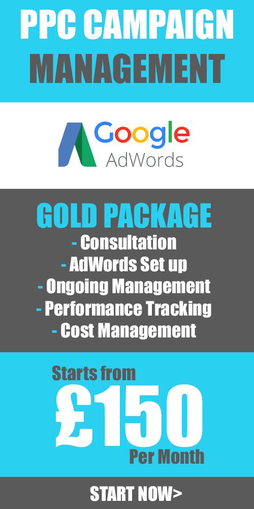 Gold PPC adwords management service