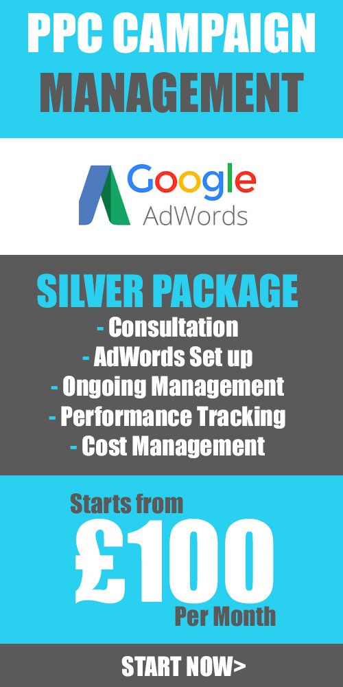 Silver PPC adwords management service